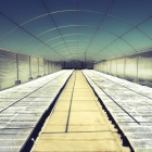 Building Large Commercial Greenhouses with Kee Klamp Fittings